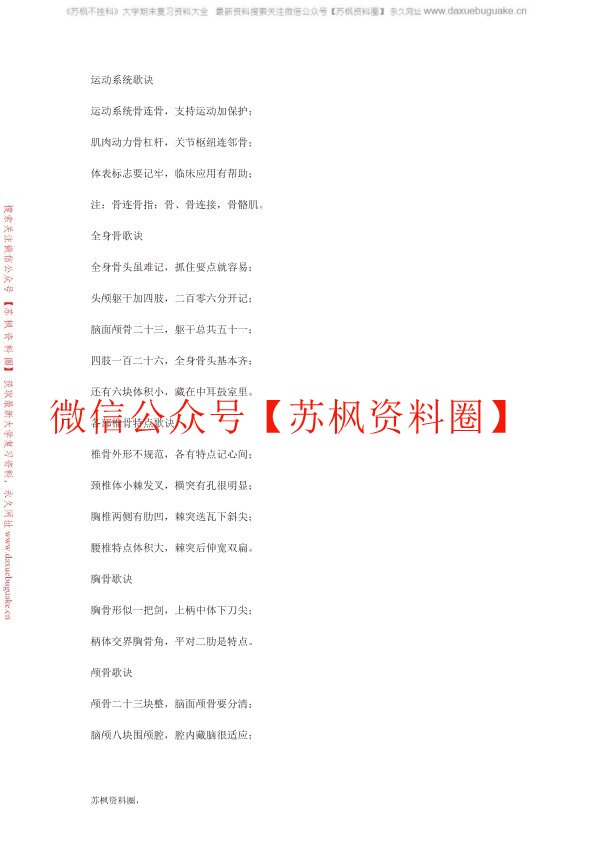 局部解剖学